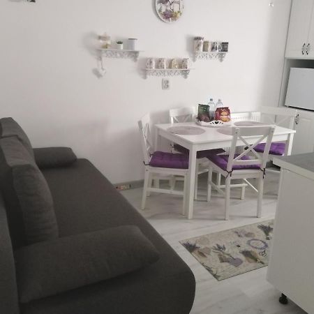 Ferienwohnung La Monica 2 - Cazare Straja - Lupeni - Retezat - Parang Exterior foto