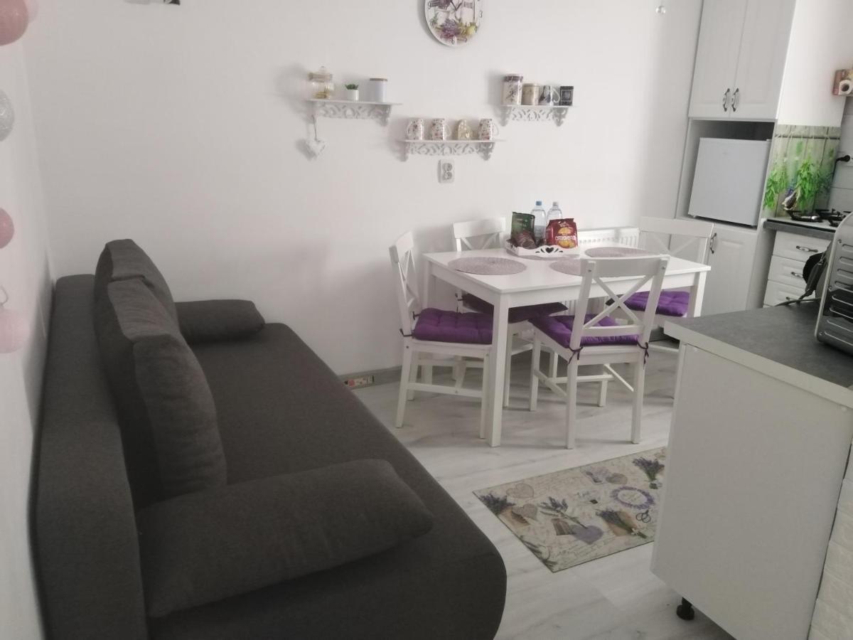 Ferienwohnung La Monica 2 - Cazare Straja - Lupeni - Retezat - Parang Exterior foto